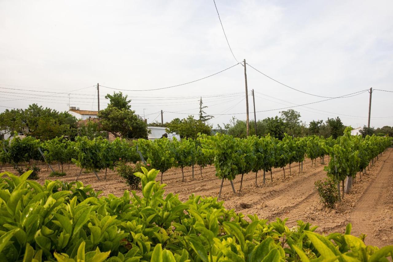 Masia Cal Sisplau, Con Piscina Y Rodeada De Vinedos A 10 Minutos De Vilafranca Del Penedes, Barcelona ,cataluna